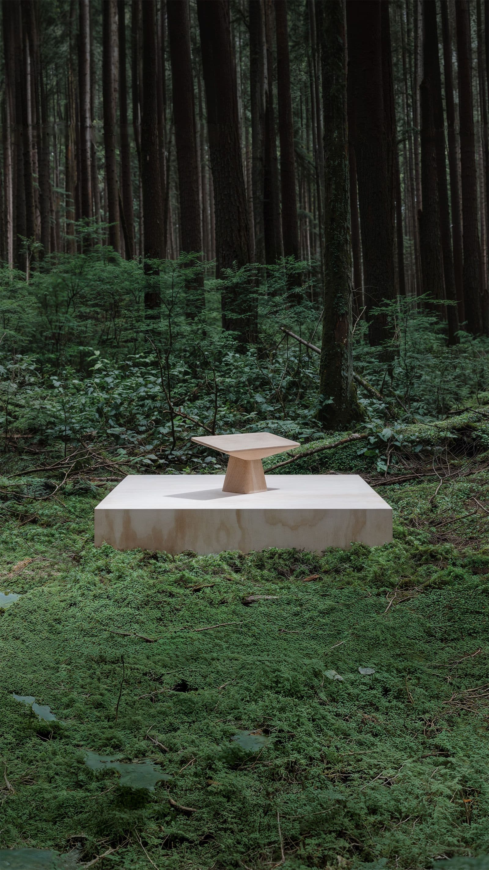 Image with @charliedxn